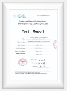דו'ח בדיקת לוחית חסינת הגנה
