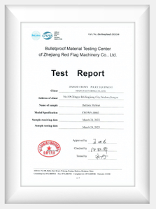 דוח בדיקת קסדה מהירה